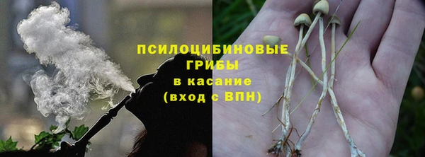 герыч Мегион