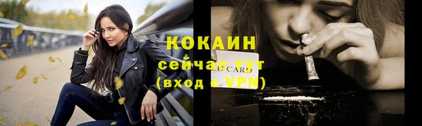 герыч Мегион