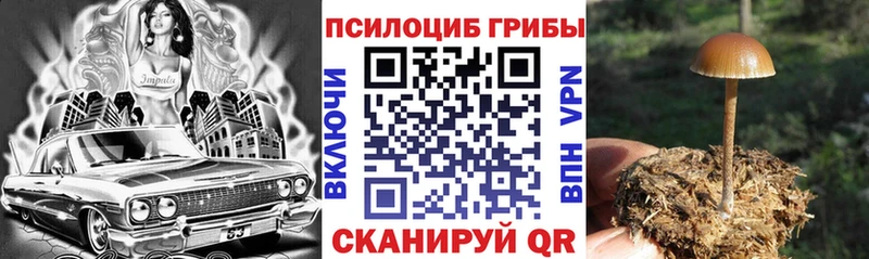 Псилоцибиновые грибы MAGIC MUSHROOMS  Купить где  Заинск 